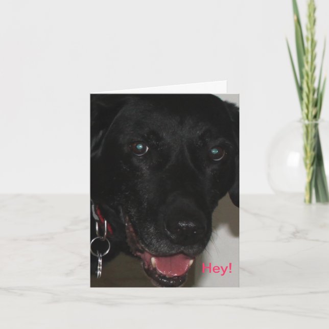 My Black Lab Thank-You Card Karte (Vorderseite)