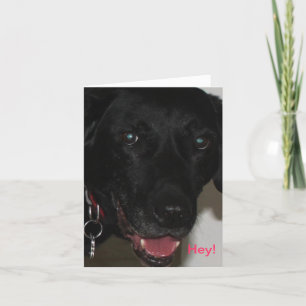 My Black Lab Thank-You Card Karte