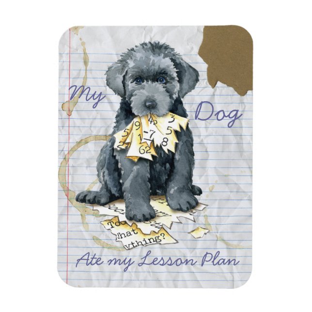 My Bouvier Ate My Lesson Plan Magnet (Vertikal)