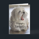**MY BROTHER** HAPPY BIRTHDAY CARD KARTE<br><div class="desc">WAS IST DAS? AND HOW GOOD WILL HE OR SHE FEEL WHEN YOUR **BROTHER** GETS THIS ON HIS BIRTHDAY?   UND DON'T FORGET YOU CAN CHANGE THE VERSE,  AND,  THE MACHEN WIR ALL MY CARDS. HAVE A HAPPY DAY AND THANK YOU FOR STOPPING BY 1 OF MY 8 STORES!</div>