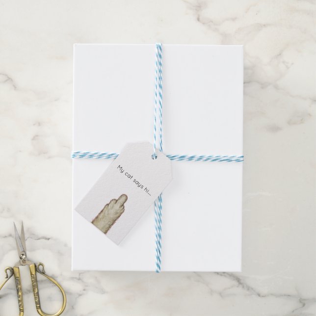 My Cat Says Hi... Geschenkanhänger (Mit Garn)