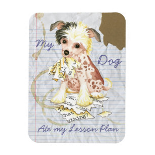 My Chinese Crested Ate My Lesson Plan Magnet
