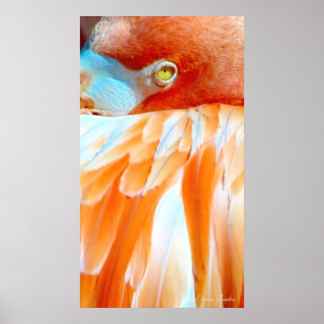 My eye on you_Poster Poster (Vorne)