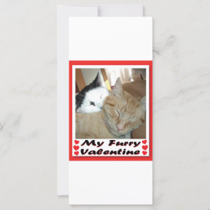 My Furry Valentine