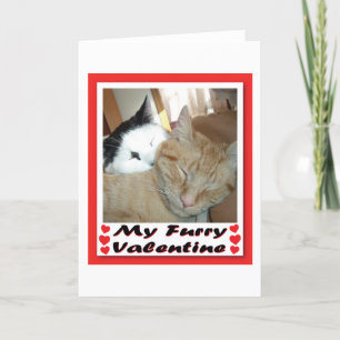 My Furry Valentine Feiertagskarte