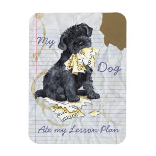 My Kerry Ate My Lessingplan Magnet