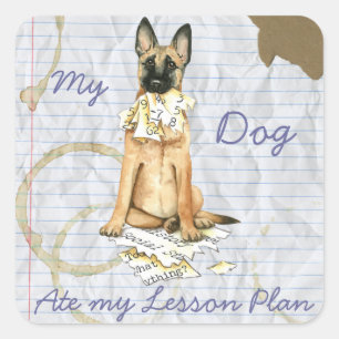 My Malinois Ate My Lessingplan Quadratischer Aufkleber