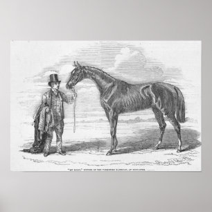 My Mary', winner of the Yorkshire Handicap Poster