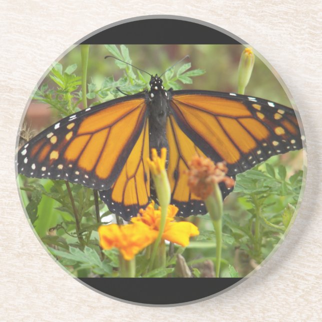 My Monarch Butterfly-coaster Sandstein Untersetzer (Vorne)