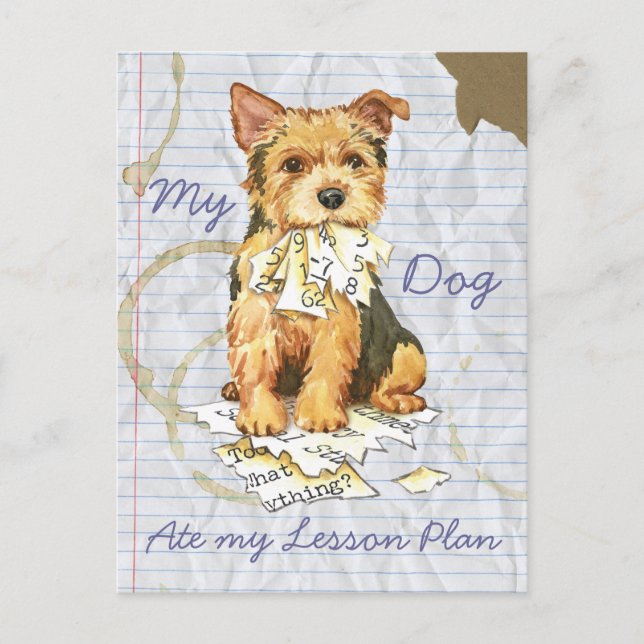 My Norwich Terrier Ate my Lessingplan Postkarte (Vorderseite)