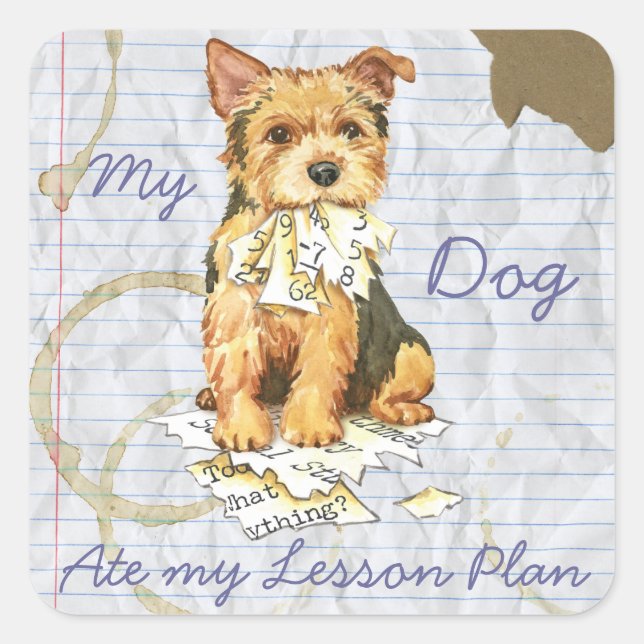 My Norwich Terrier Ate my Lessingplan Quadratischer Aufkleber (Vorderseite)
