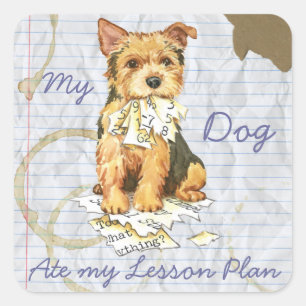 My Norwich Terrier Ate my Lessingplan Quadratischer Aufkleber