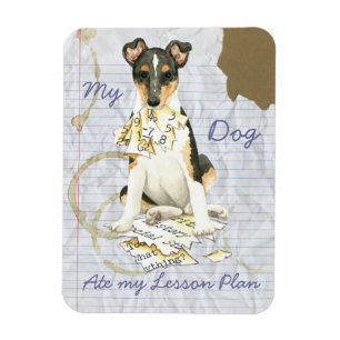My Smooth Collie Ate My Lesson Plan Magnet