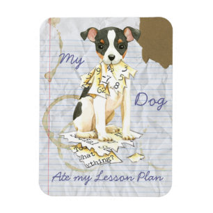 My Toy Fox Terrier Ate my Lessingplan Magnet