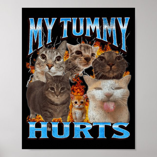 My Tummy Hurts Funny Cat Meme Bootleg Graphic  Poster (Vorne)