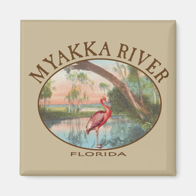 Myakka Florida mit dem Roseate Spoonbill Magnet (Vorne)