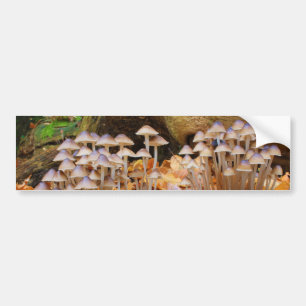 Mycena Inclinata gruppierte Mützen-Ständerpilze Autoaufkleber