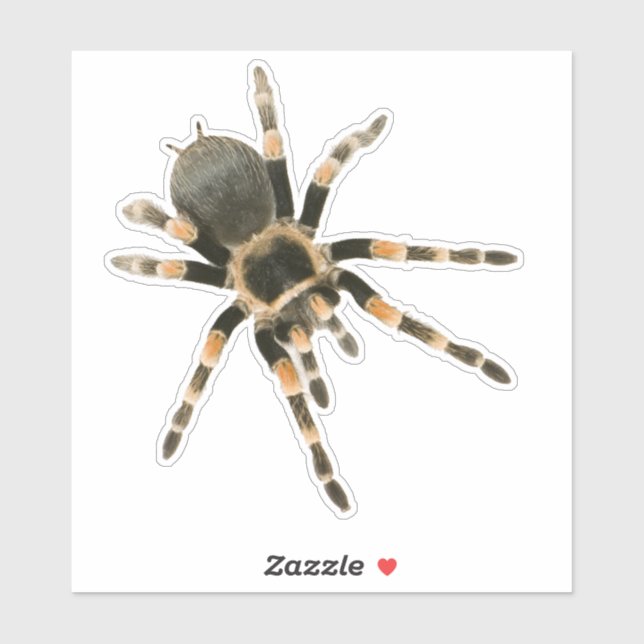 Mygale Spinne Aufkleber (Blatt)