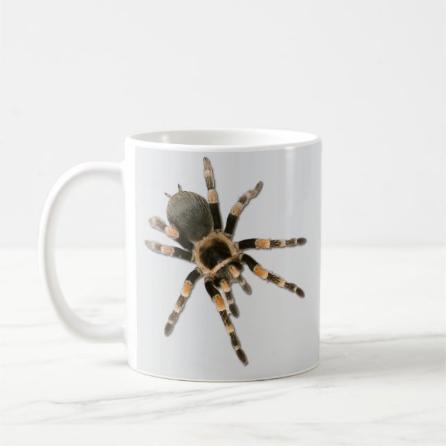 Mygale Spinne (Brachypelma smithi) Kaffeetasse (Links)