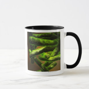 Mykobakterium-Tuberkulose Tasse