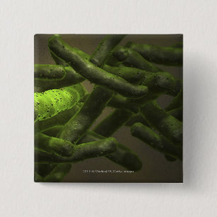 Mykobakteriumtuberkulosezellen Button