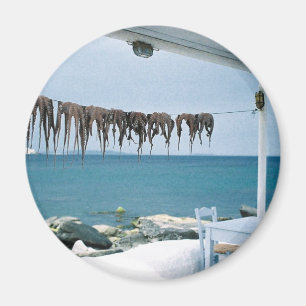 Mykonos, Griechenland Magnet