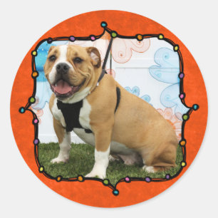 Mylo - englische Bulldogge Runder Aufkleber