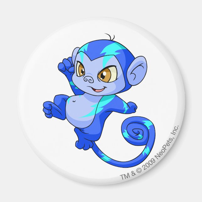 Mynci Electric Magnet (Vorne)