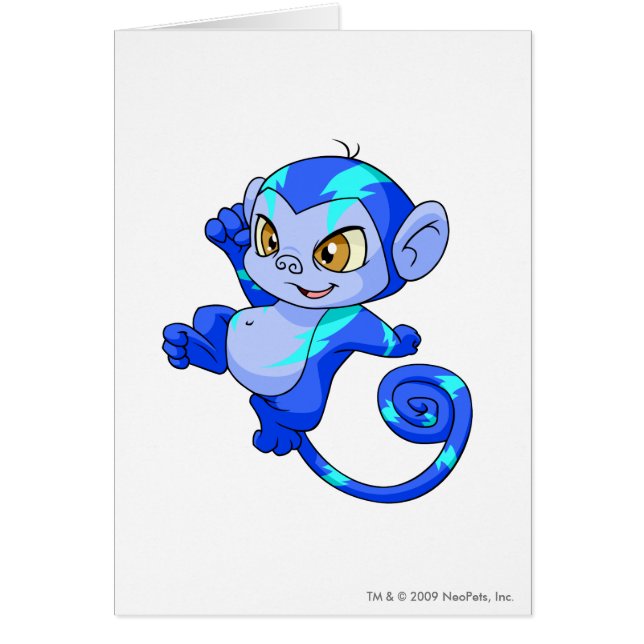 Mynci électrique (Devant)