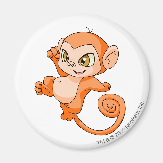 Mynci Orange Magnet (Vorne)