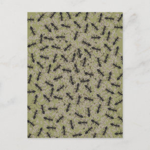 Myrmecophobie Postkarte