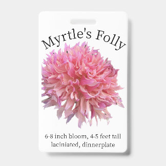 Myrtles Folly Dahlia-ID-Abzeichen Ausweis