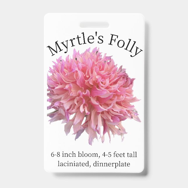 Myrtles Folly Dahlia-ID-Abzeichen Ausweis (Vorderseite)