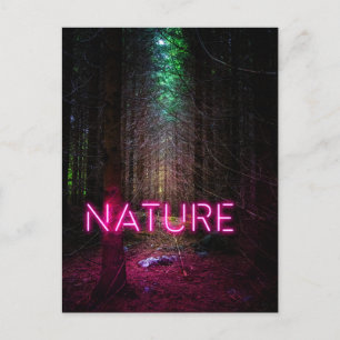 Mysteriöse Fichtenwälder Natur Neon magenta Zeiche Postkarte