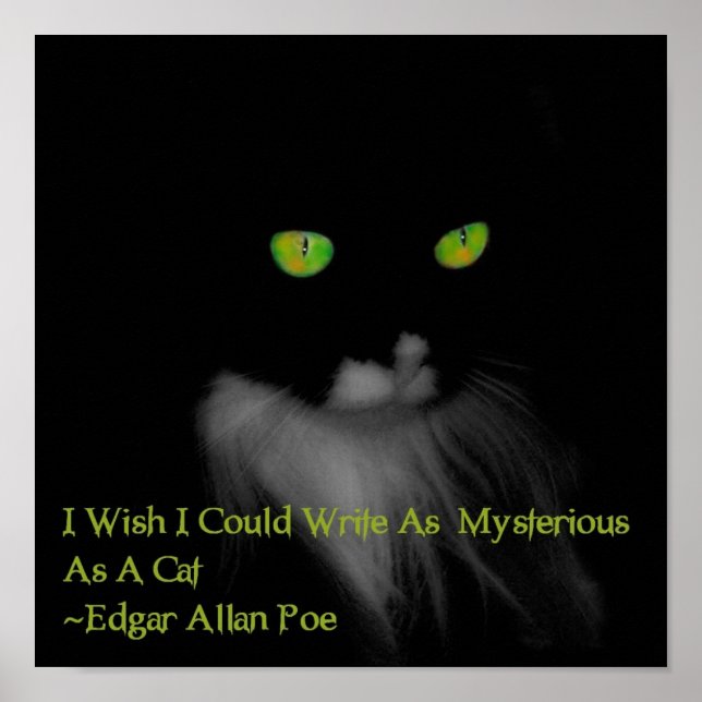 Mysteriöse Katze Poster (Vorne)