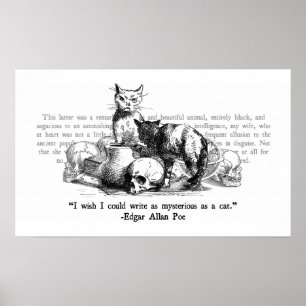 Mysteriöse Katzen Poster