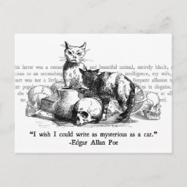 Mysteriöse Katzen Postkarte
