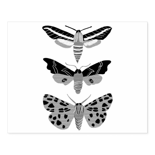 Mysteriöse Moths Trio Hand Drawn Gummistempel (Prägung)