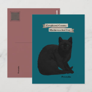 Mysteriöse schwarze Katze Zitat Persönlich Türkis  Postkarte