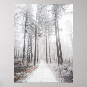 Mysteriöse Straße in einem gefrorenen Nebelwald Poster