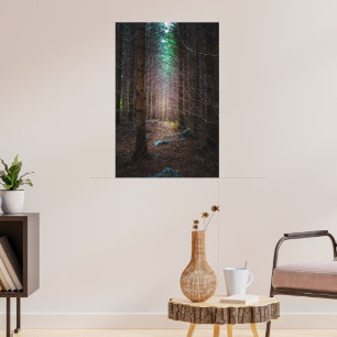 Mysteriöser Fichtenwald Poster
