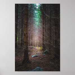 Mysteriöser Fichtenwald Poster