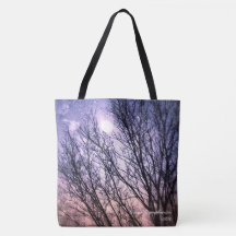 Mysteriöser Mondlicht-Tote-Beutel