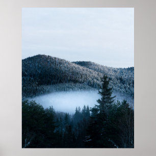 Mysteriöser Nebel, der im Wintersprudelwald gefang Poster