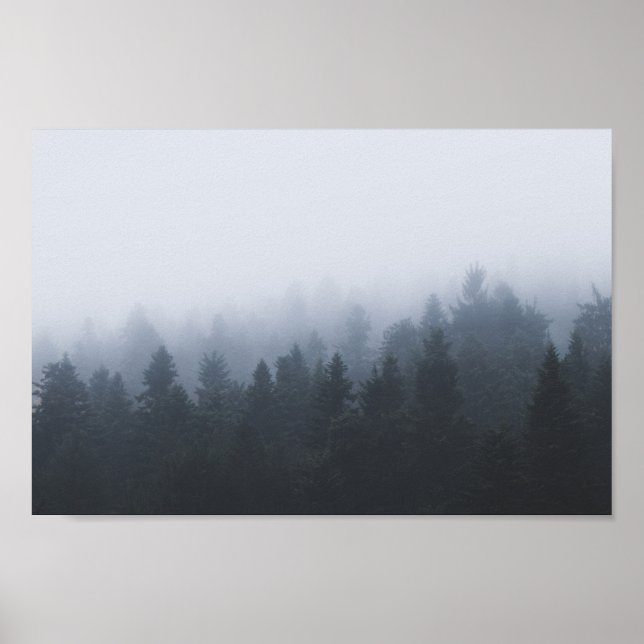 Mysteriöser Wald im Nebel Poster (Vorne)