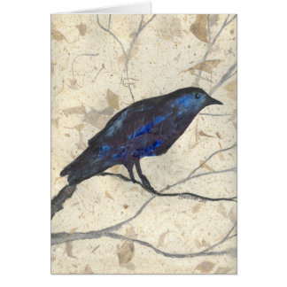 Mysteriöser Winter-Rabe