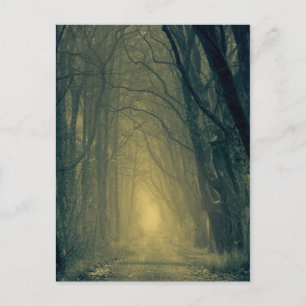 Mysteriöses gelbes Licht im Wald Postkarte