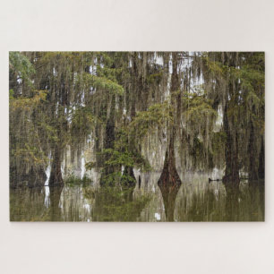 Mysteriöses Magisches Acadian Cypress-Sumpfpuzzle