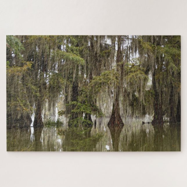 Mysteriöses Magisches Acadian Cypress-Sumpfpuzzle (Horizontal)