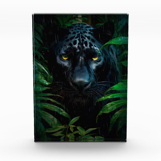 Mysteriöses Schwarzes Panther Jungle Wildlife Desi Fotoblock (Vorderseite)